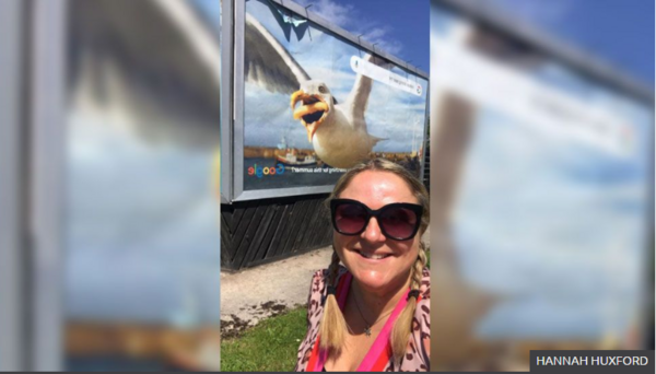 Google buys photographer's shot of seagull eating a chip