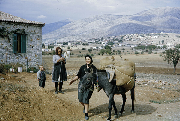 αγρότες