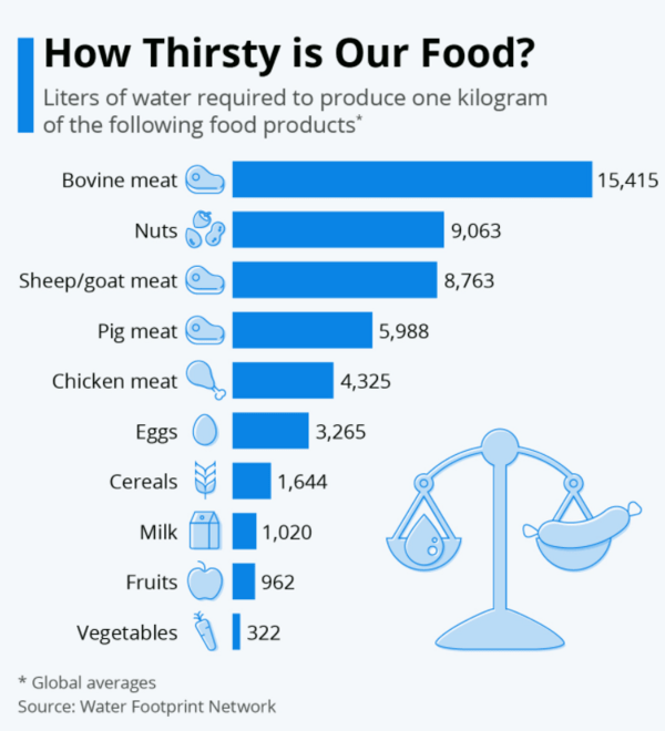 Ποιες τροφές «καταναλώνουν» το περισσότερο νερό