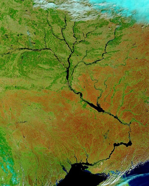 A Mysterious Crater’s Age May Add Clues to the Dinosaur Extinction