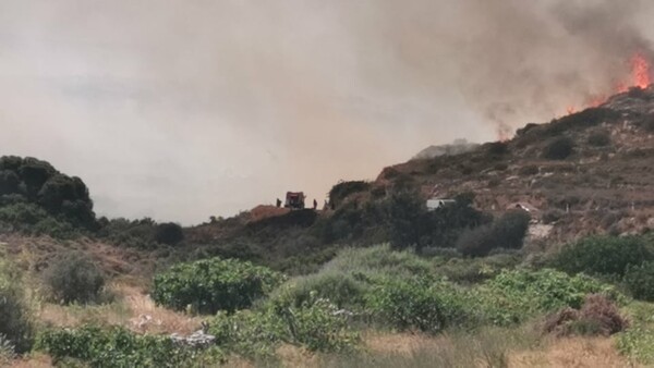 Φωτιά στην Πάρο: Οι φλόγες έφθασαν κοντά σε σπίτια - Διακοπές ρεύματος στο νησί (Βίντεο)