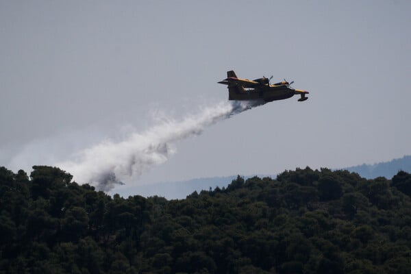 Πολιτική Προστασία: Πολύ υψηλός κίνδυνος πυρκαγιάς αύριο- Σε έξι περιφέρειες