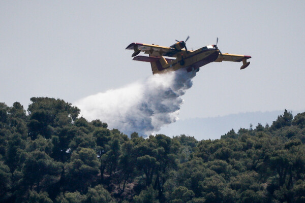 Φωτιά στην Κεφαλονιά: Προληπτική εκκένωση οικισμού 