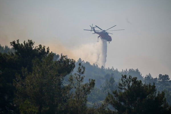 Αρχηγός Πυροσβεστικής: Καλύτερη η εικόνα της φωτιάς στη Σάμο- Μεγάλη η περίμετρος