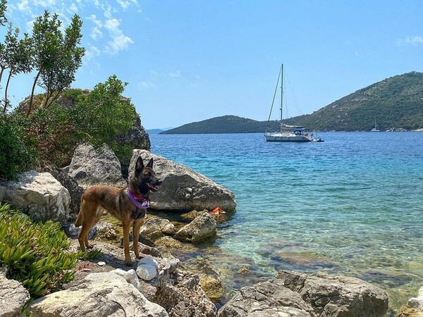 10 νέες φωτογραφίες απ' τα τέλεια ζώα των αναγνωστών μας #720