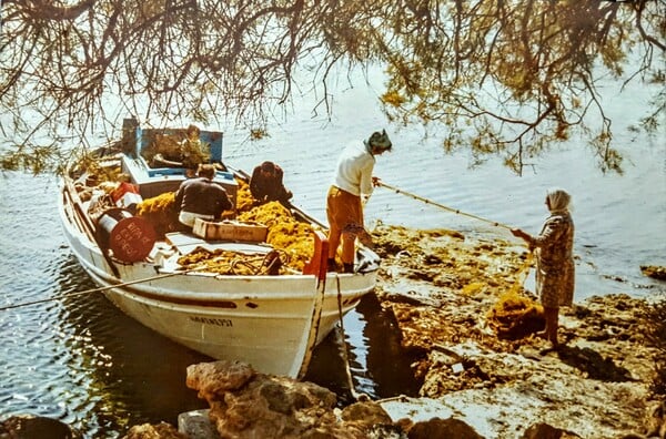 Τα Mαγικά Κουφονήσια