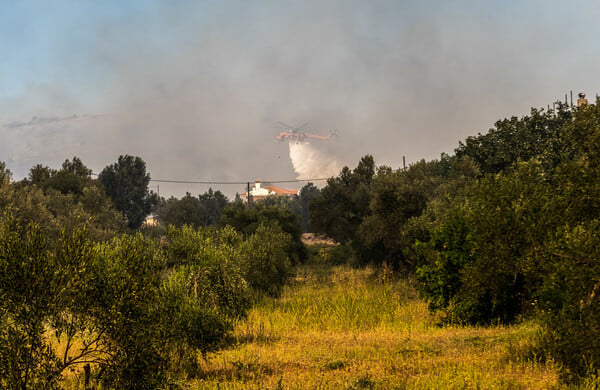 Αχαΐα: Φωτιά στην Δροσιά - Απομακρύνονται κάτοικοι από τα σπίτια τους