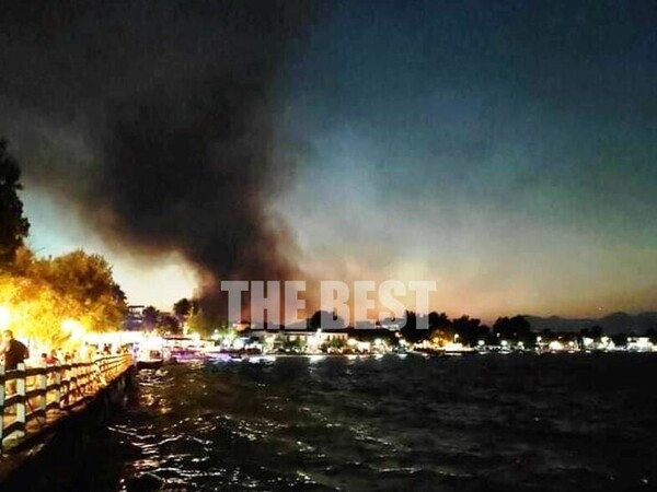 Φωτιά στην Αχαΐα: Ολονύκτια μάχη με τις φλόγες - 16 τραυματίες, 20 σπίτια «στάχτη»