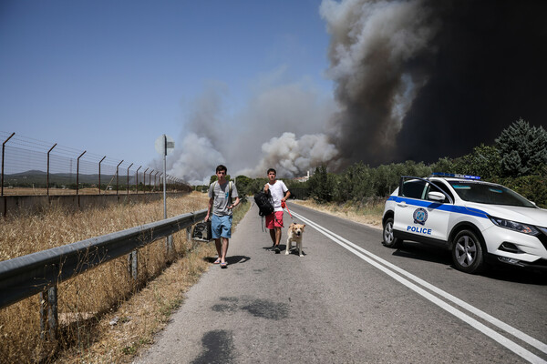 Ανεξέλεγκτη η φωτιά στη Βαρυμπόμπη: Έκλεισε η Εθνική Οδός και γύρω δρόμοι - Μεγάλη επιχείρηση