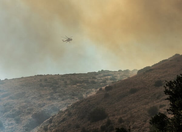 Φωτιά στην Εύβοια: Εκτός ελέγχου το πύρινο μέτωπο – Εκκενώθηκαν και άλλοι οικισμοί