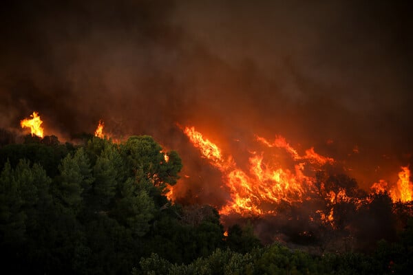 Φωτιά και στο Μαρτίνο Φθιώτιδας - Κοντά στην εθνική οδό Αθηνών- Λαμίας