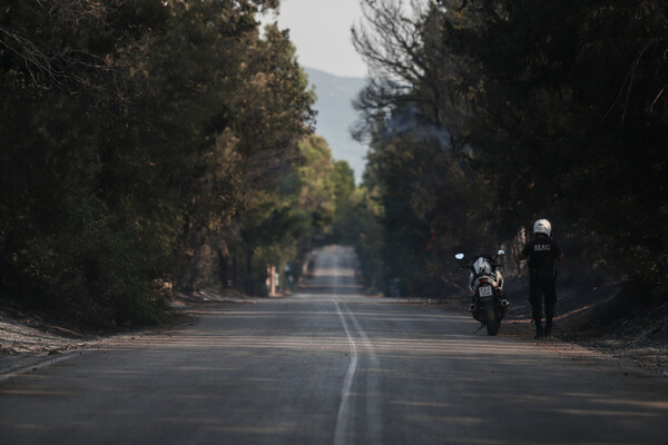 Βαρυμπόμπη, η επόμενη μέρα: Η φωτιά κατέστρεψε δάσος, σπίτια και αυτοκίνητα - Φωτορεπορτάζ