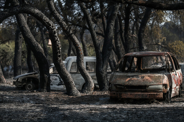 Βαρυμπόμπη, η επόμενη μέρα: Η φωτιά κατέστρεψε δάσος, σπίτια και αυτοκίνητα - Φωτορεπορτάζ