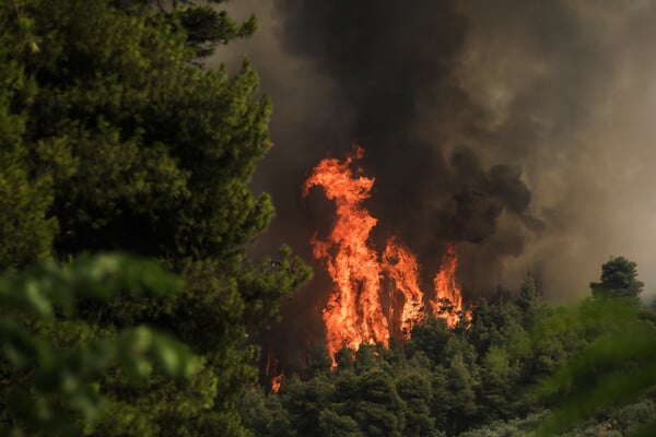 Φωτιά στην Εύβοια: Εκκενώθηκε το κάμπινγκ στην Αγία Άννα 