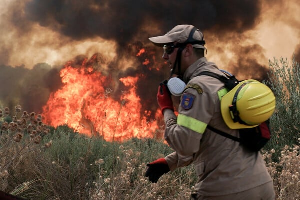 Φωτιά στην Ηλεία: Εντοπίστηκε ύποπτος για εμπρησμό - «Καταγράφηκε με μηχανάκι από κάμερες»