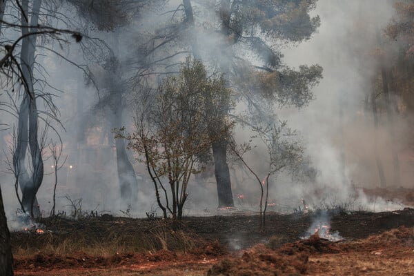 ΤΡΑΙΝΟΣΕ: Διακοπή κυκλοφορίας στο τμήμα Οινόη/Αθήνα - Κλείνουν και τα πάρκα της Αττικής 