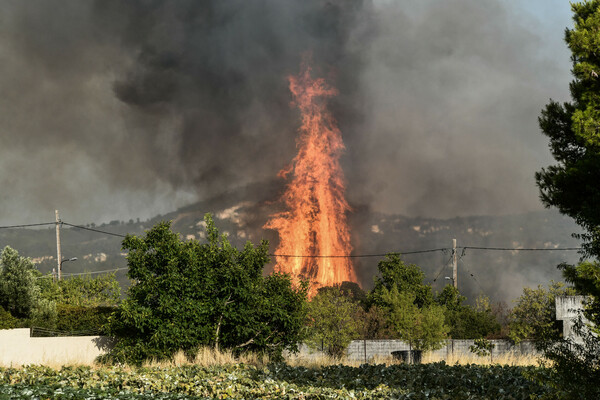 Η φωτιά τα σάρωσε όλα: Εικόνες χάους στην βορειοανατολική Αττική - Τα ενεργά μέτωπα