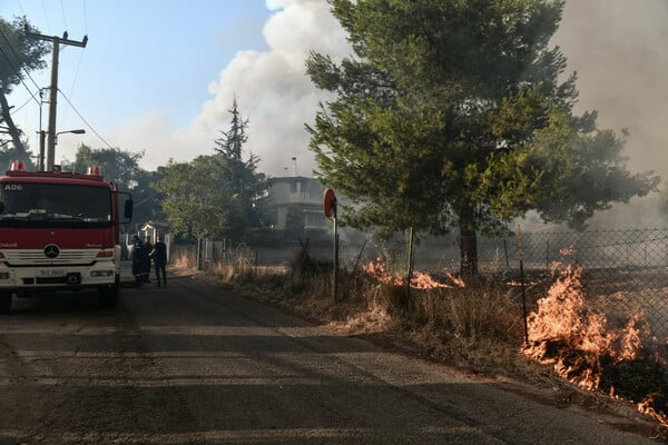 ΓΓΠΠ: Ακραίος κίνδυνος πυρκαγιάς - Κατάσταση Συναγερμού για 6 περιφέρειες