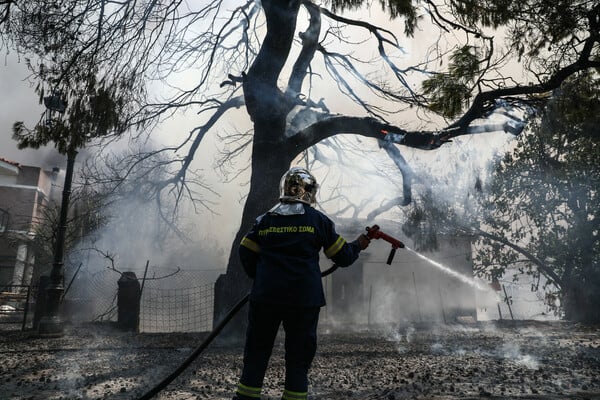 Προσαγωγές για φωτιές σε Κρυονέρι & Φωκίδα– Αναζητείται ύποπτος για εμπρησμό στην Ηλεία