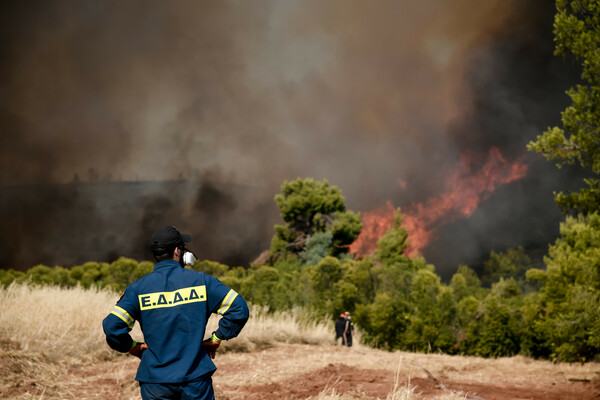 Live οι ανακοινώσεις Χαρδαλιά για τις πυρκαγιές στην Ελλάδα