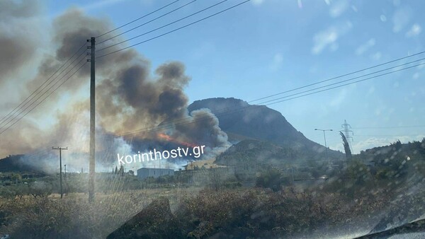 «Συναγερμός» για φωτιά στην Αρχαία Κόρινθο- Μήνυμα από το 112: «Εκκενώστε τον Σολομό»