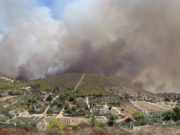 Κερατέα: Εξαπλώνεται ταχύτατα η πυρκαγιά - Εκκενώθηκαν οικισμοί, ανησυχία για τον Εθνικό Δρυμό Σουνίου (ΕΙΚΟΝΕΣ)