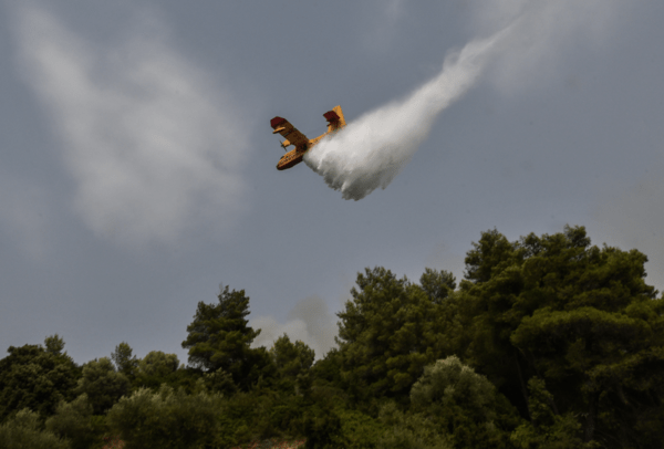 Πυρκαγιά στα Βίλια Αττικής - Μήνυμα από το 112: «Εκκενώστε προς Ψάθα»