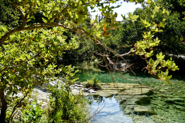 Θερινό οδοιπορικό στις όχθες του ποταμού Αχέροντα