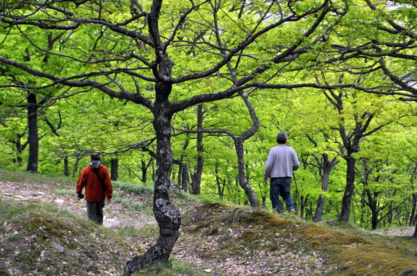 Paths of Greece: Μια ομάδα ανοίγει τα μονοπάτια που ακολουθούμε για να γνωρίσουμε έναν τόπο 