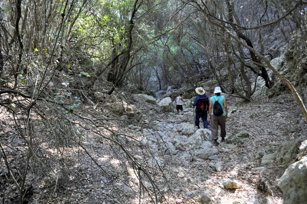 Paths of Greece: Μια ομάδα ανοίγει τα μονοπάτια που ακολουθούμε για να γνωρίσουμε έναν τόπο 