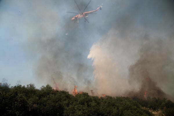 Βίλια: Σε εξέλιξη η φωτιά στα Βίλια - Καμένα σπίτια, στάχτη το δάσος 