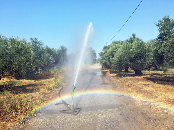 Μουριά και Αγουλινίτσα, οι χαμένες λίμνες του Πύργου