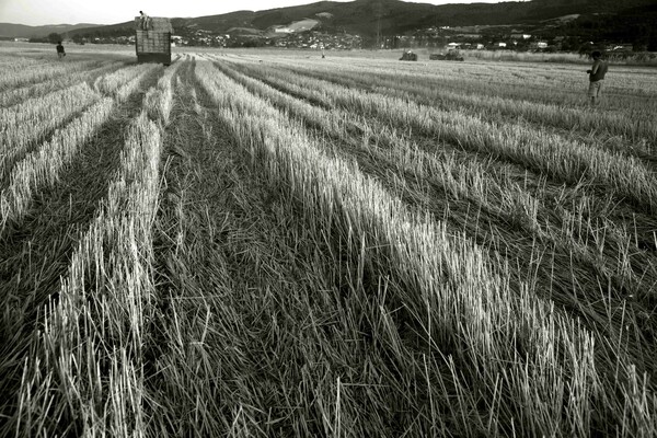 Ξάνθη: Παρέσυρε τον γιο του με θεριζοαλωνιστική μηχανή και τον σκότωσε