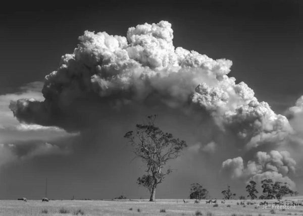 Australian Geographic nature photographer of the year 2021 – in pictures