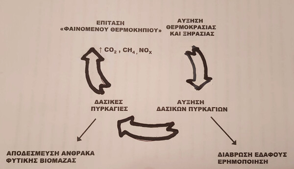 Δασικές πυρκαγιές και κλιματική αλλαγή