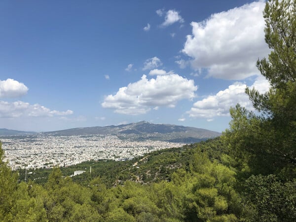 H Αττικό Μετρό απαντά στο Παρατηρητήριο Αστικού Πρασίνου για τα δέντρα που θα κοπούν