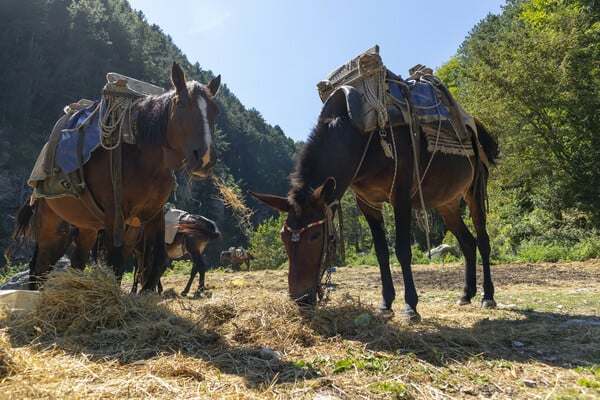 Χαρακτηρισμός της χερσαίας και υδάτινης περιοχής του Όρους Ολύμπου ως Εθνικού Πάρκου