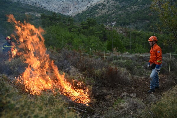 Φωτιά για την πρόληψη πυρκαγιάς: Πρόβα τζενεράλε για την πρωτοποριακή μέθοδο και στην Ελλάδα