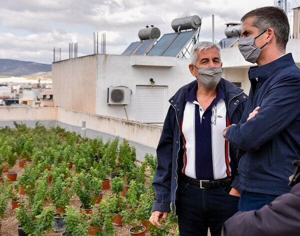 Μπακογιάννης