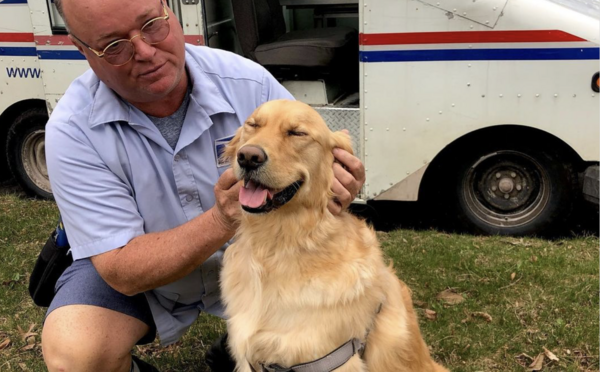 Ένα Golden Retriever περιμένει κάθε ημέρα στην αυλή για να αγκαλιάσει τον ταχυδρόμο