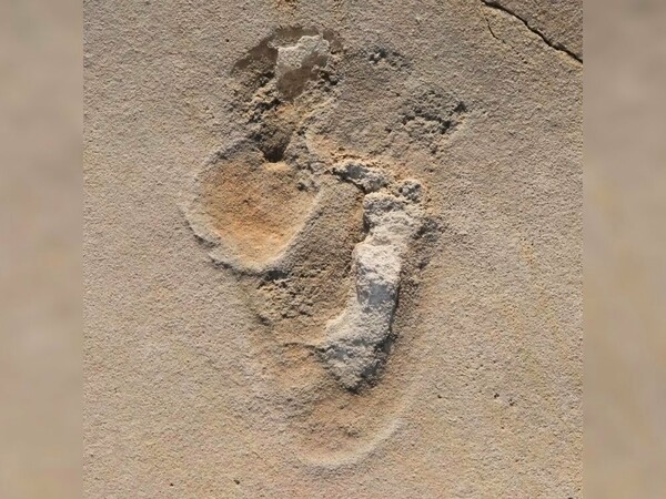 New Research Suggests Human-Like Footprints in Crete Date to 6.05 Million Years Ago