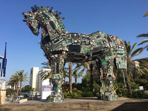 tel aviv horse