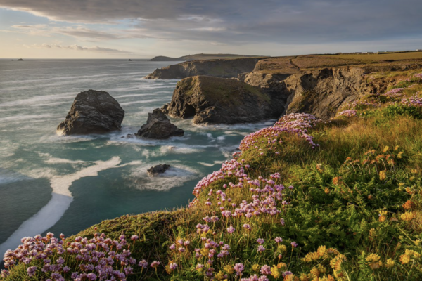 Garden Photographer of the Year