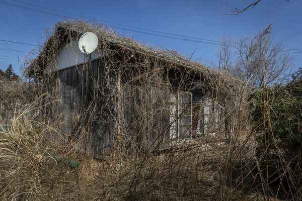 Last Fukushima town to reopen welcomes back its first residents