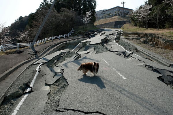 Last Fukushima town to reopen welcomes back its first residents