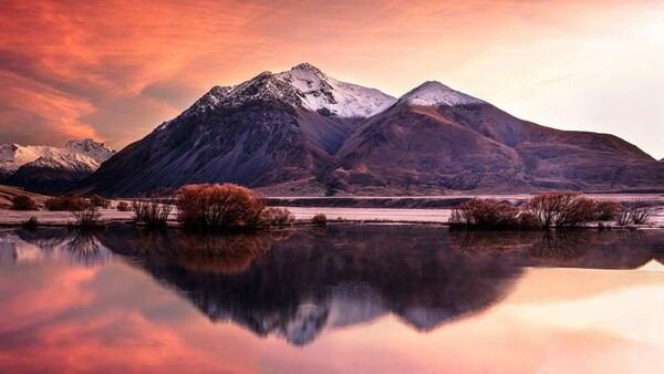 World Nature Photography Awards: 15 εντυπωσιακές φωτογραφίες