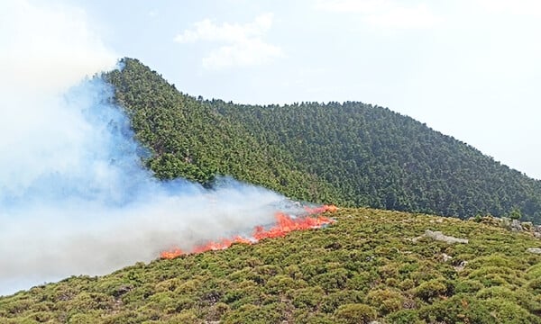 Σε εξέλιξη φωτιά στη Μεσσηνία