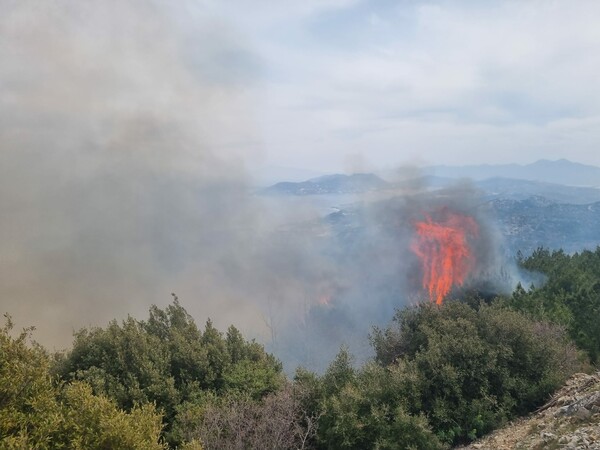 Φωτιά στη Σάμο: Εκκενώνεται προληπτικά το χωριό Βουρλιώτες