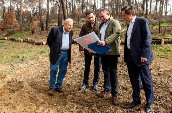 Ο Όμιλος ΕΛΛΗΝΙΚΑ ΠΕΤΡΕΛΑΙΑ συμβάλλει καθοριστικά στην αποκατάσταση πυρόπληκτων περιοχών