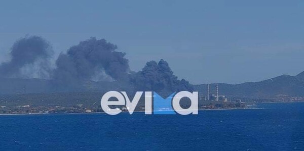 Εύβοια: Φωτιά κοντά στο εργοστάσιο της ΔΕΗ στο Αλιβέρι